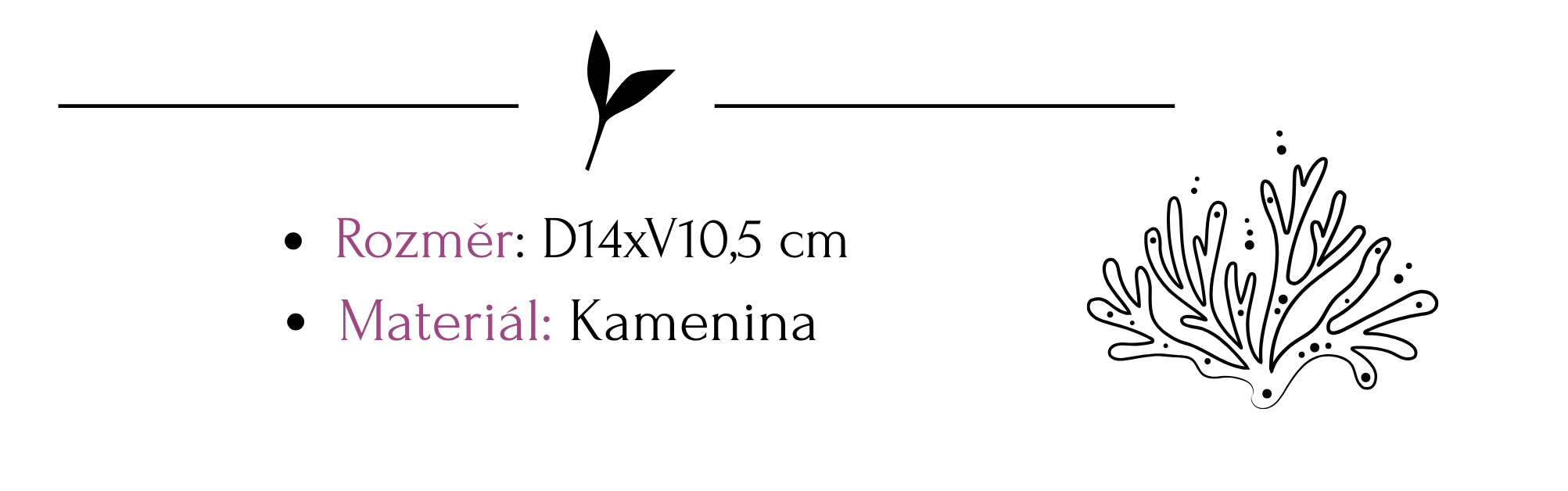 Text odstavce (4)